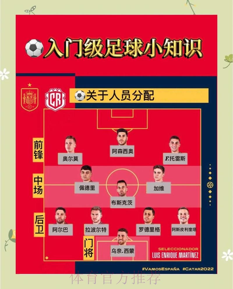 世界杯高清观赛与投注入口导航_1