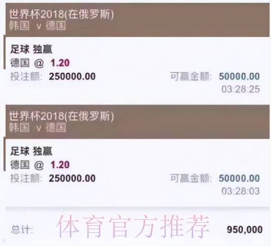世界杯投注入口深度解析：热门平台精选